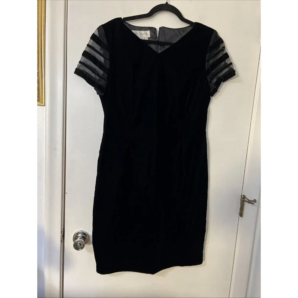 Maggy London Velvet Short Sheer Sleeve Dress‎ Size 12 Preppy Fairygrundge Gothic
